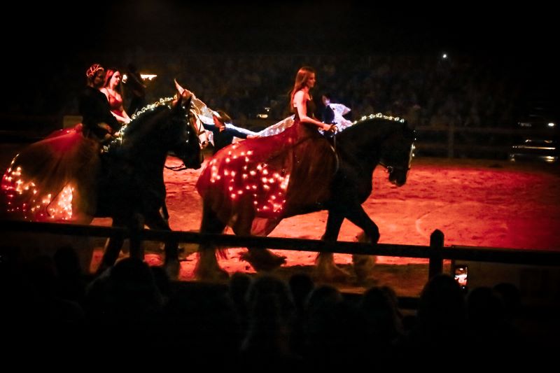 Shire Horse Messe Hund & Pferd
